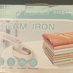Mini steam iron