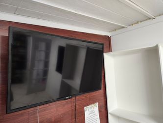 52 inch Sceptre TV with mount