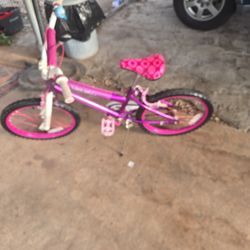 20 Inch Girl Bike 