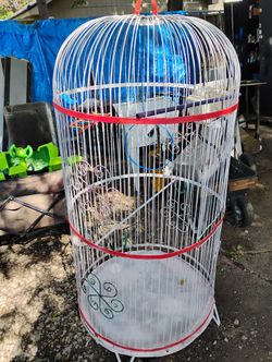 Colorful 5'bird Cage