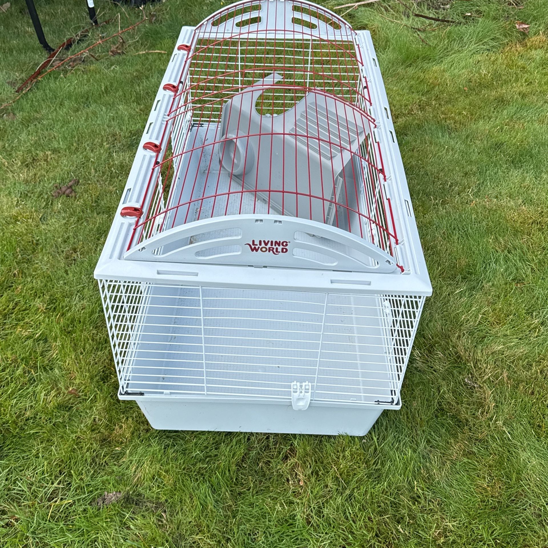 Rabbit cage
