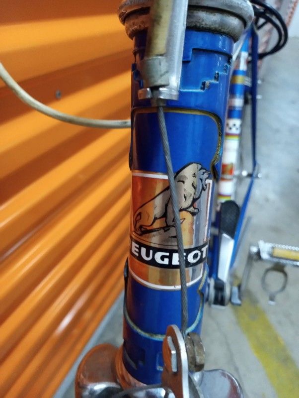 Peugeot PX 10 Vintage Road Bike: All Original! Blue Plain Nervex