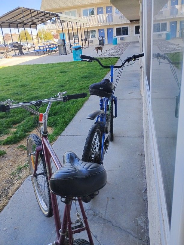 Motorized Bike And Ten Speed Bike