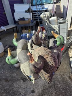 Duck Decoys