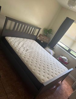IKEA queen size bed / without the mattress/ in good condition/ DELIVERY NEGOTIABLE