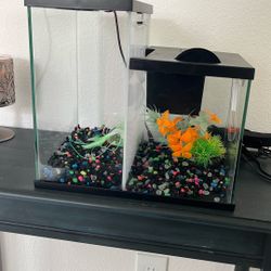 Beta 3 Gallon Double Tank Aquarium 