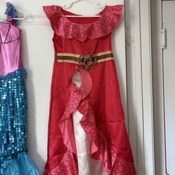 Disney Costume