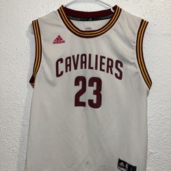 Lebron Raymone James (Jersey) 