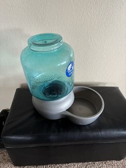 Dog Water Bowl