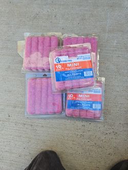 Home Pro 10 Pack 6 1/2 X 1/2 Mini Roller