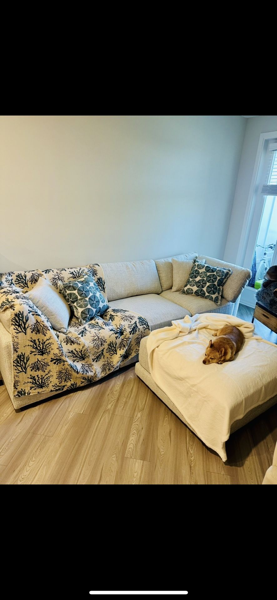 Brand New Modular Sectional 