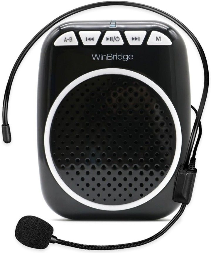 Winbridge WB001 Voice Amplifier