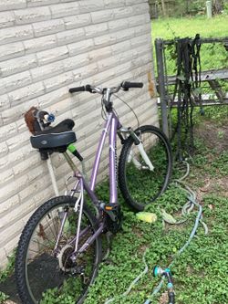 Scwinn Mountain Bike