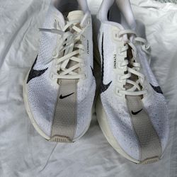 Nike Pegasus 41 Plus 9.5