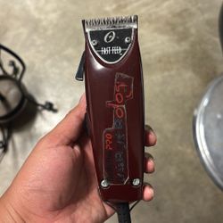 Oster Fast Feeds Corded