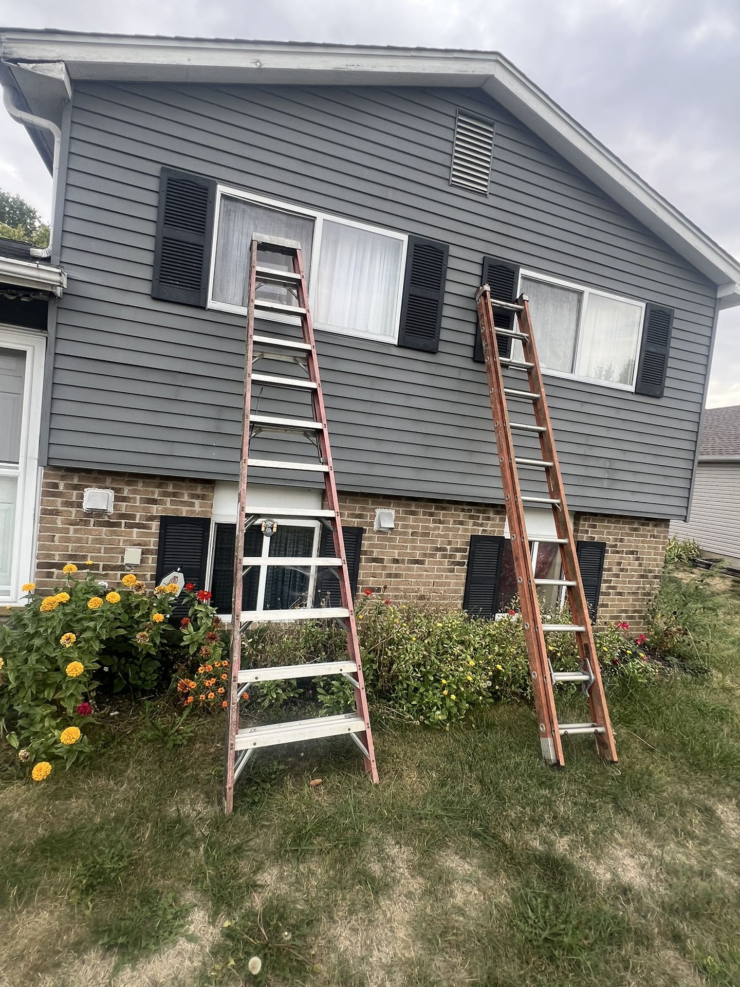 ladders