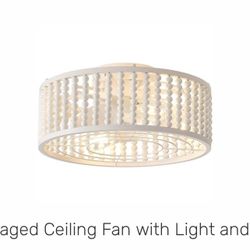 Caged Ceiling Fan with lights and remote 