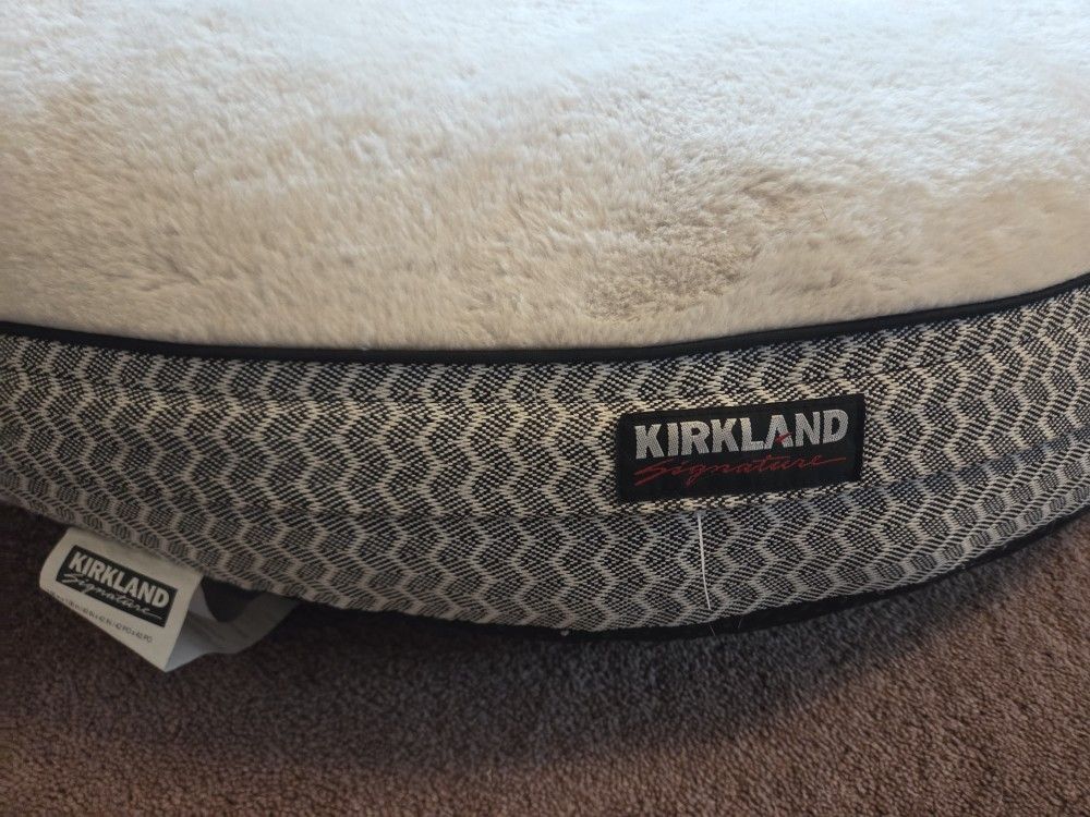 Large dog Pillow 🐕 