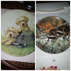 The Bradford exchange art plates