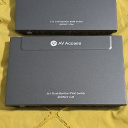 AV Access 2x1 Dual 
