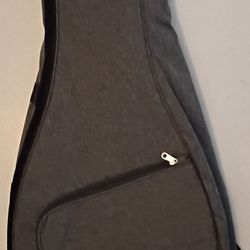 Silver Guitar Bag