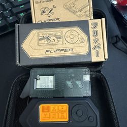 Flipper Zero Wi-Fi Enable 