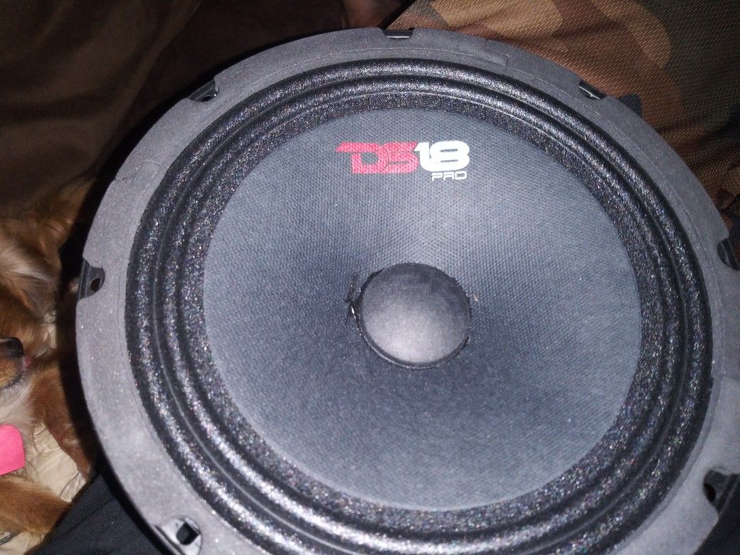 New Pair of Ds18 8" Loudspeakers