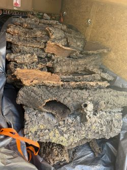 Terrarium CORK cork wood Reptile