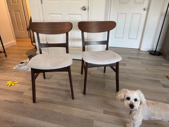 Two Wooden Chairs