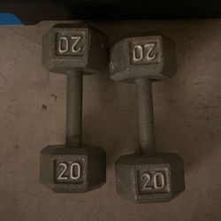 Pair Of 20 Pound Dumbbell