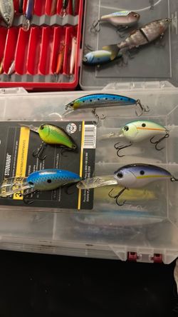 Ima crankbaits with a saltwater heavy weighted jerkbait.