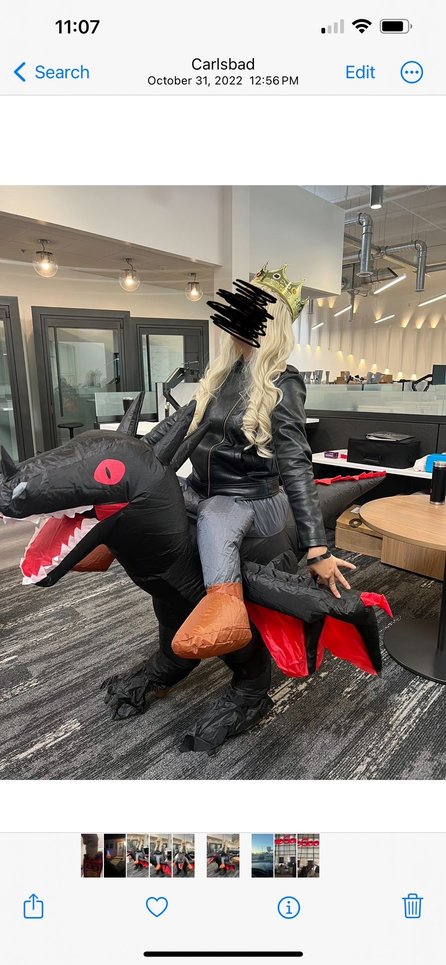 Dragon Rider Costume