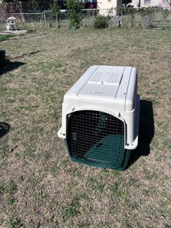 XL dog kennel