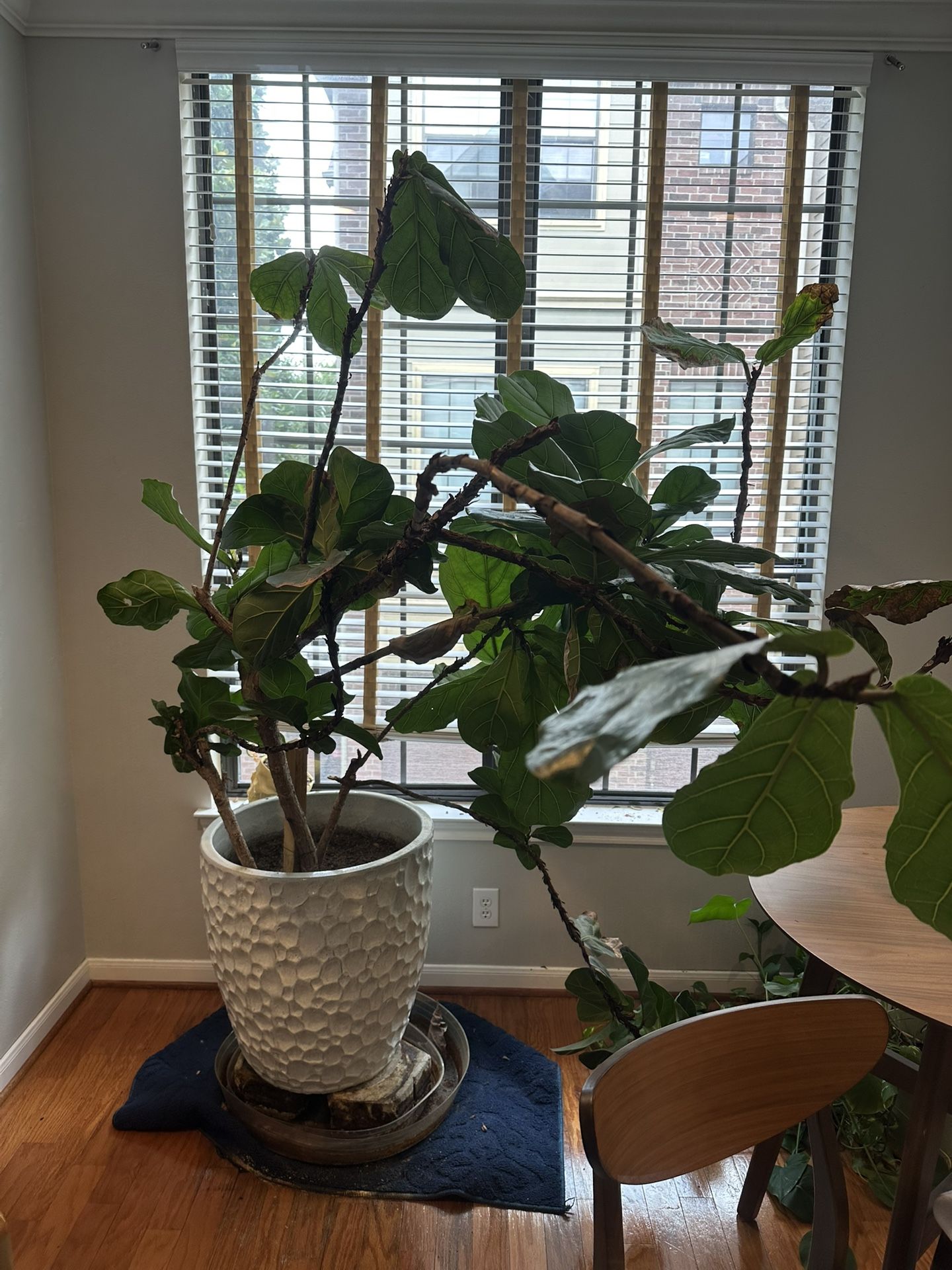 Plants!