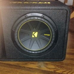 12 Inch Comp Subwoofer.