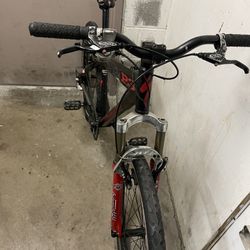 Specialized  P-3 Centerfold Size Medium 