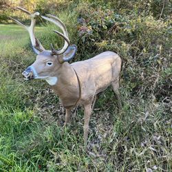 Two Deer Statues  
