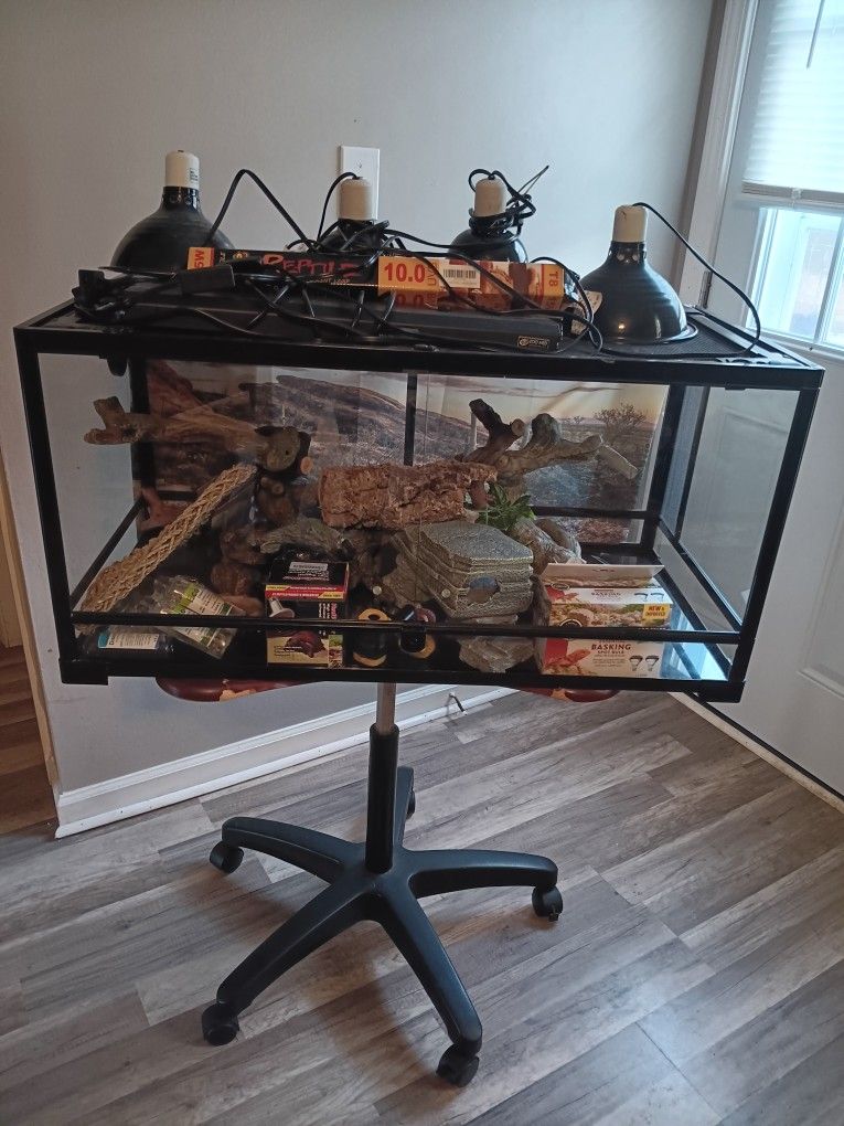 Reptile Tank And Equipment 