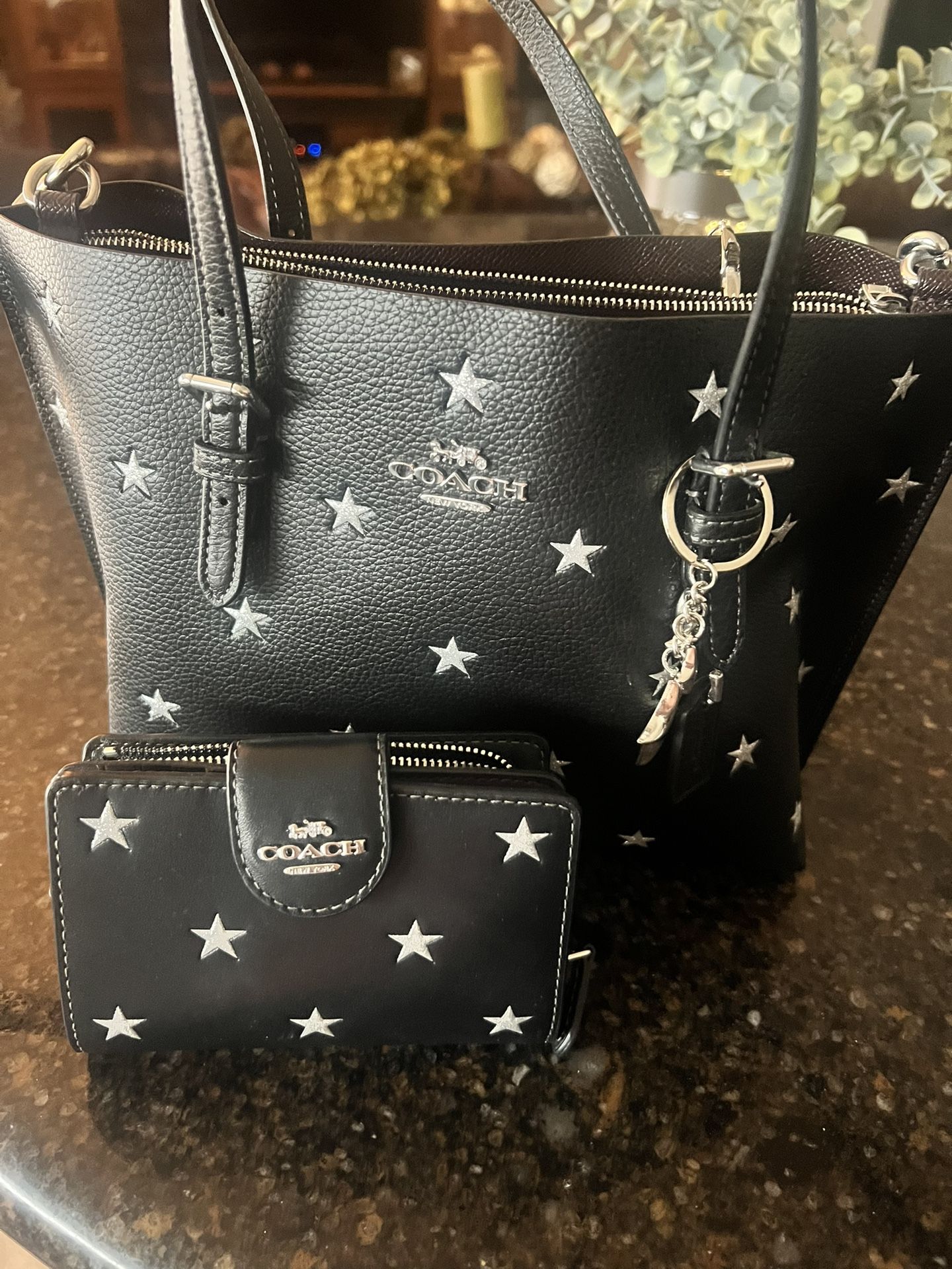 Coach Small Tote Purse And Wallet