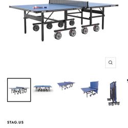 STAG PACIFICA WEATHERPROOF PROFESSIONAL OUTDOOR/INDOOR TABLE TENNIS PING PONG MSRP 1100$