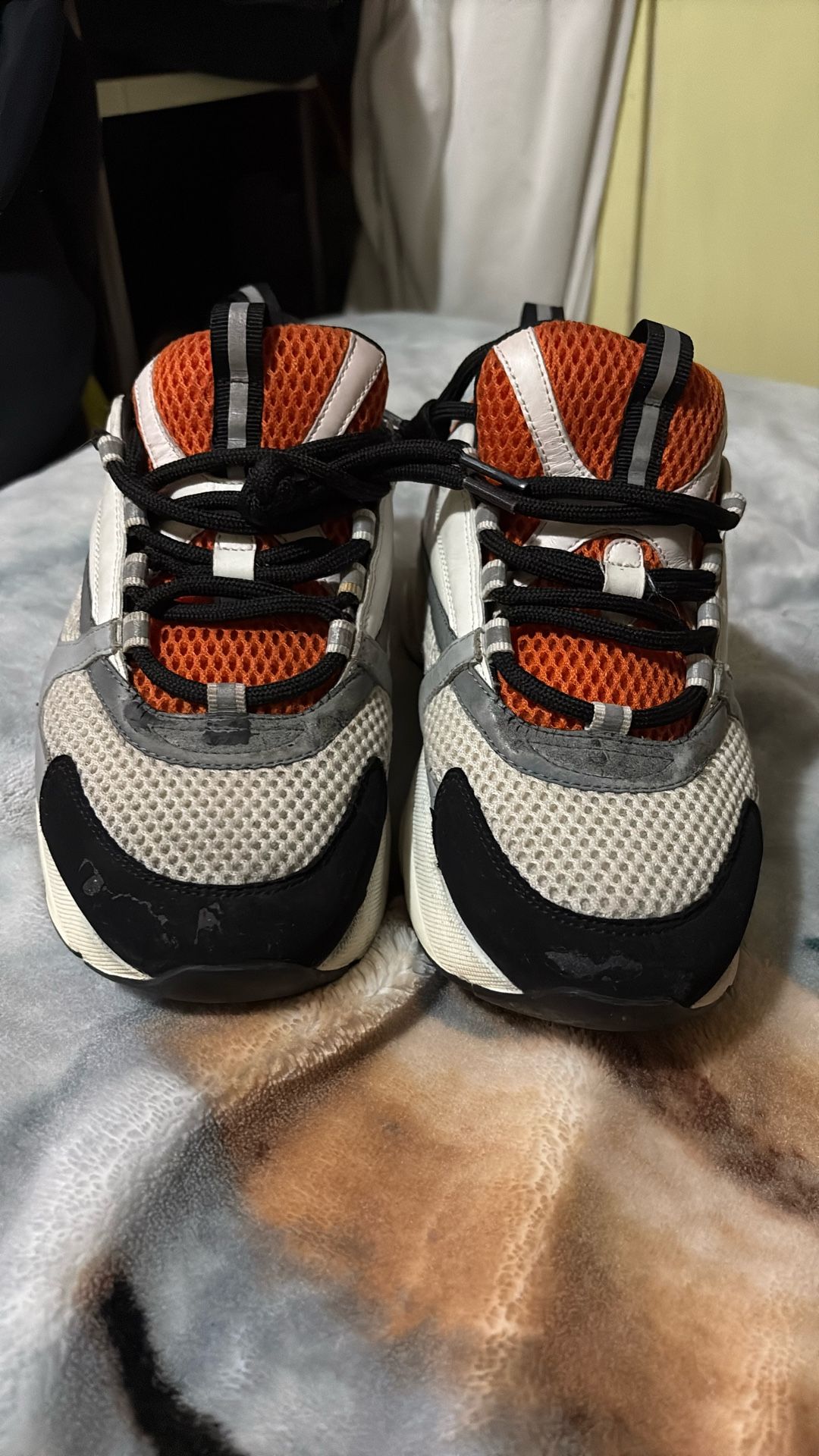 DIOR B22s