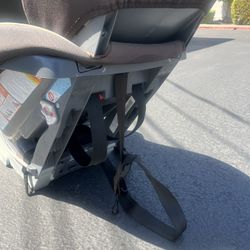 Grayco Baby Car Seat 