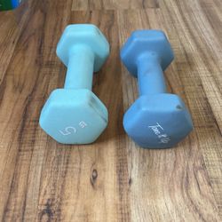 Pair Of Dumbbell 