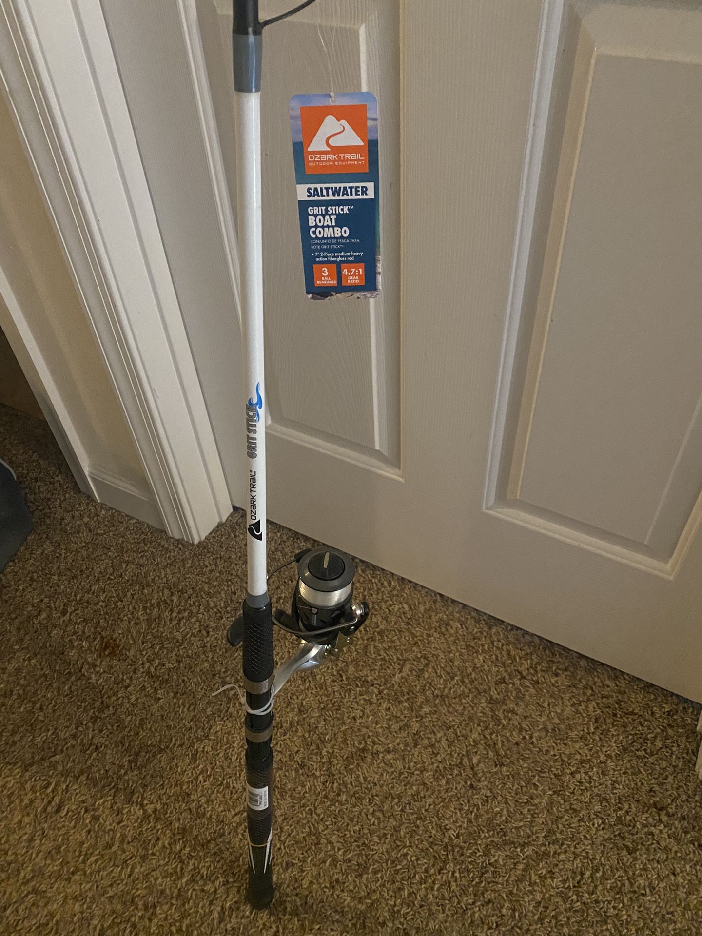 Fishing pole with reel