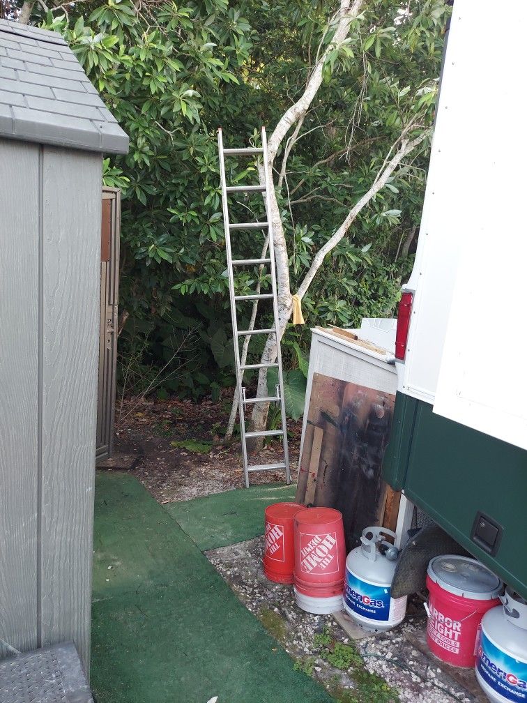 Ladder 20 Foot