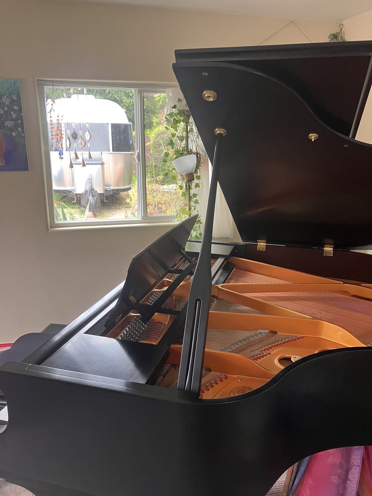 Pearl River Baby Grand Piano