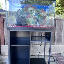 29 Gallon Aquarium 