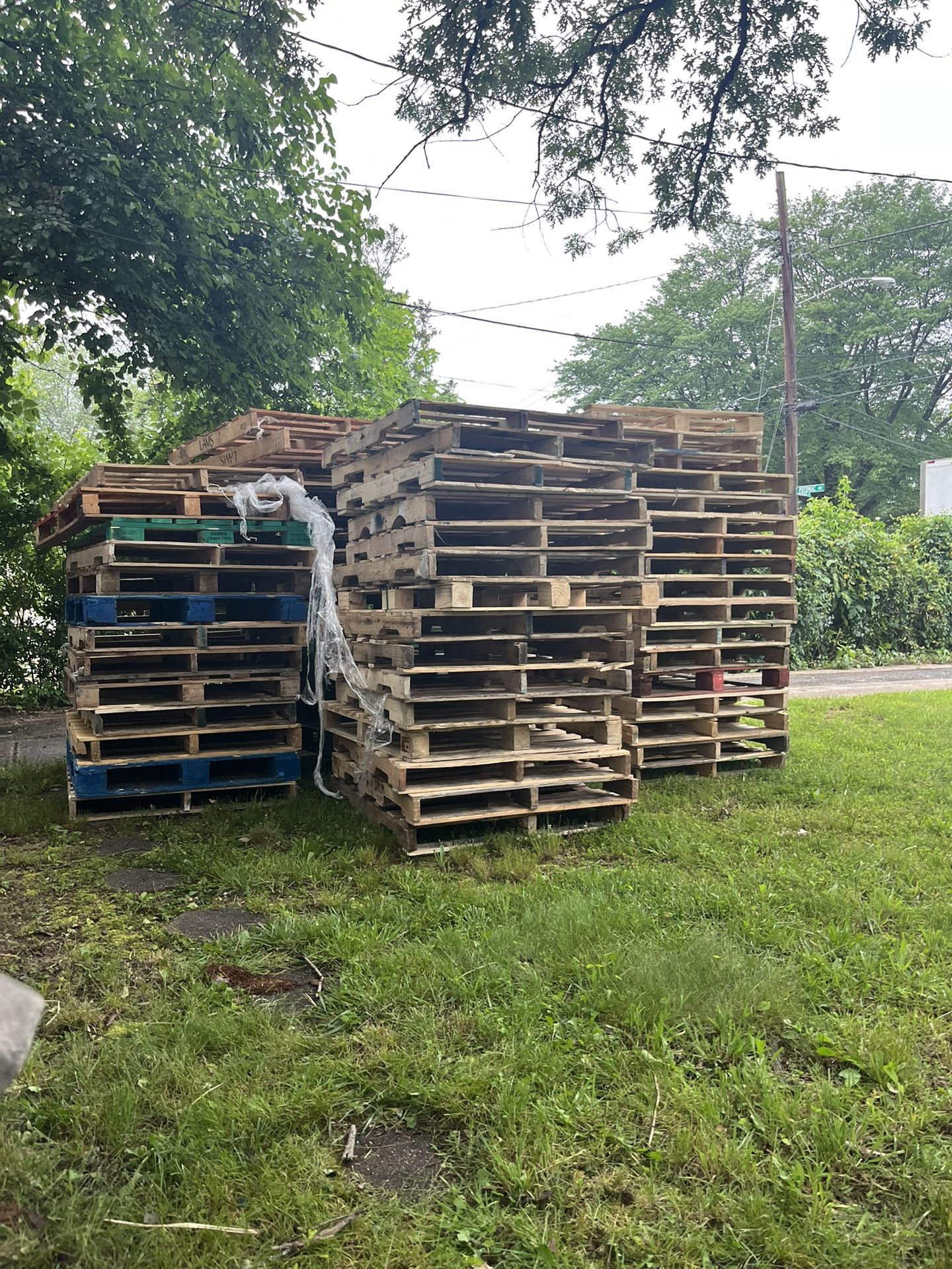 Pallets - FREE