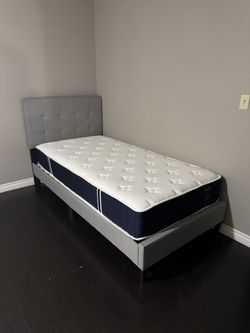 Coolvie Twin XL Mattress (Like New)