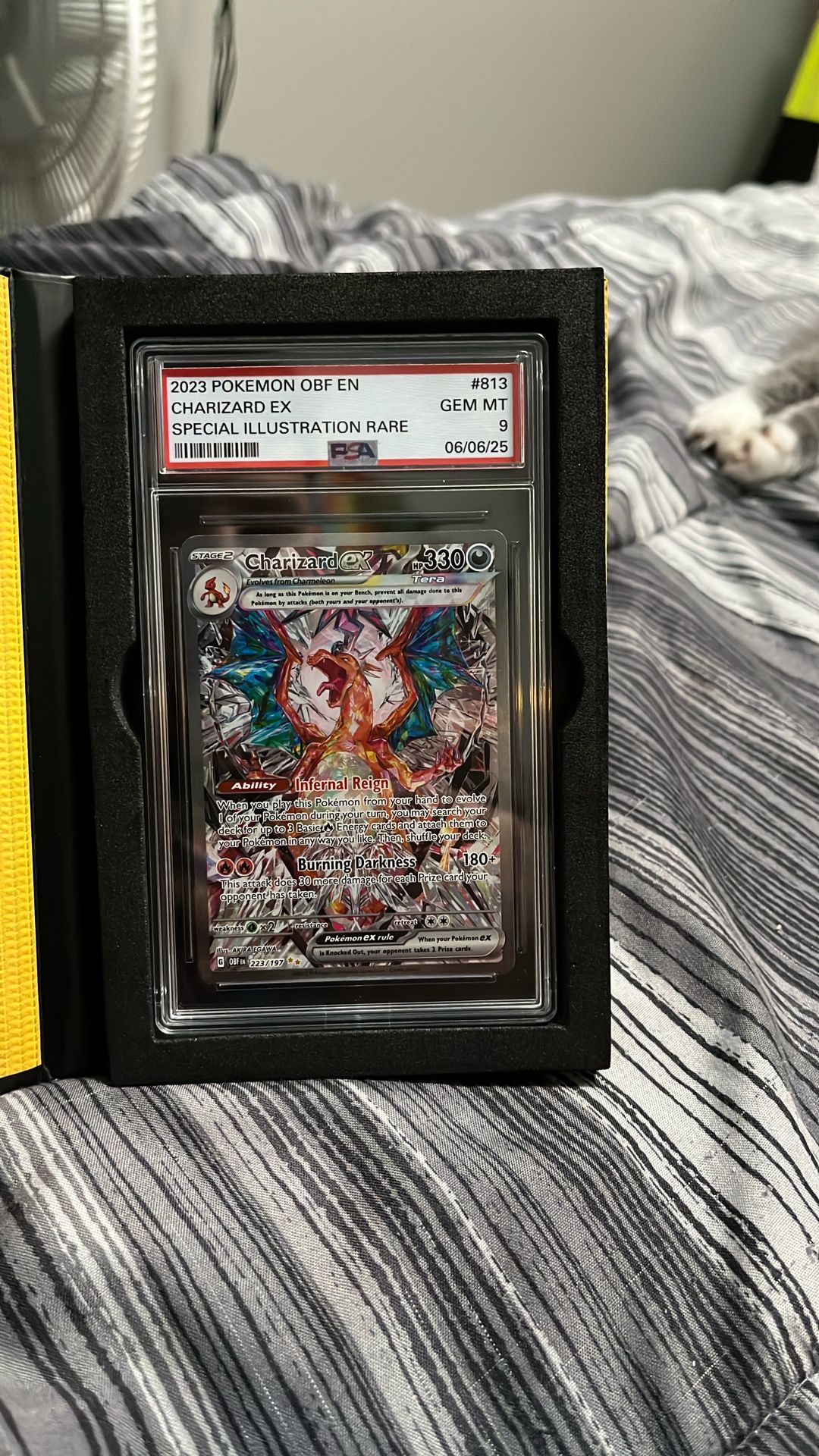 Charizard ex/ Custom slab